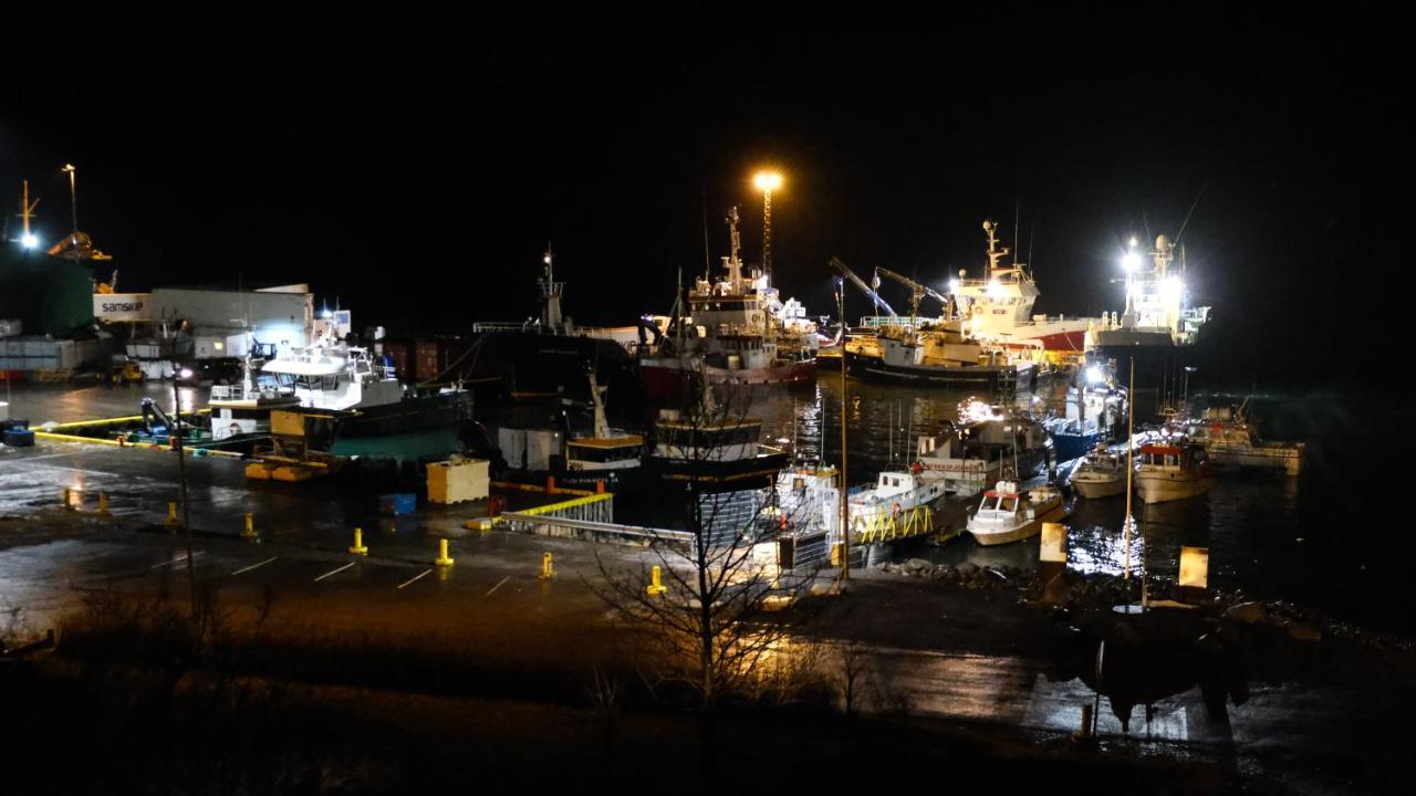 Harbour Inn - Guesthouse Bíldudalur Eksteriør bilde